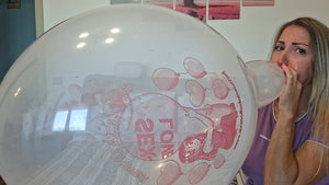 Belbal 14" crystal clear print Katiuscialooner cartoon b2p